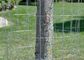 Support de roulement de clôture en fil de fer soudé de 30 m pour les plantes