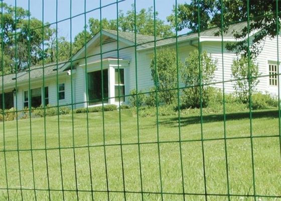 Le vert a enduit le fil Mesh Roll Welded Wire Mesh de 0.35mm-6mm clôturant Rolls anti-vieillissement