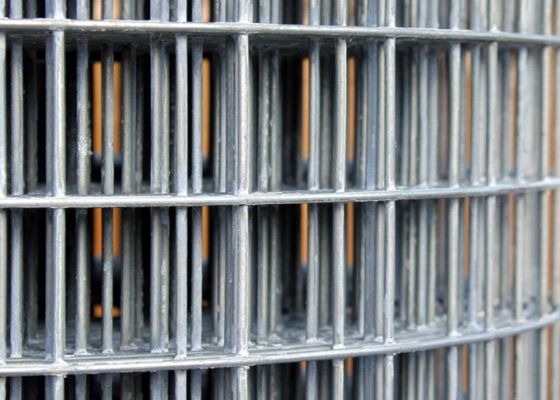 50X50 a galvanisé le fil soudé Mesh Rolls grillage Roll Abrasion Proof de 6 pieds