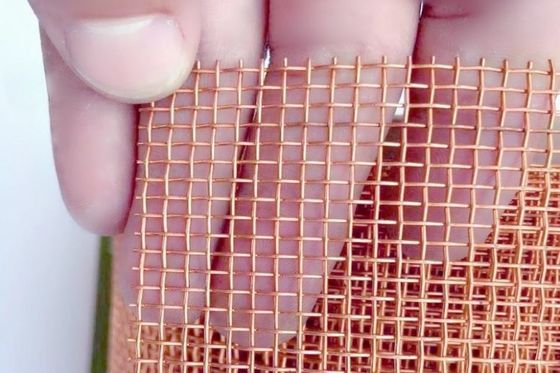 Fil de haute résistance et par dureté tissé Mesh Screen Phosphor Bronze