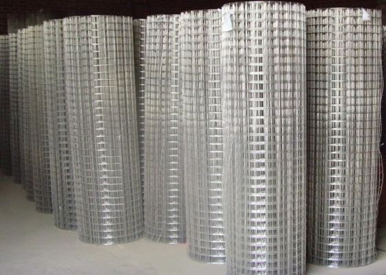 15m 20m 30m filet de fil soudé en acier inoxydable utilisé comme cage ou clôture de volaille