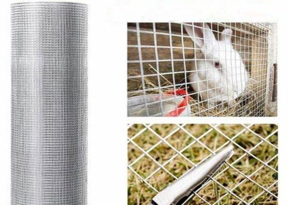 15m 20m 30m filet de fil soudé en acier inoxydable utilisé comme cage ou clôture de volaille