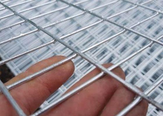 Maillage de fil soudé en acier inoxydable pour applications agricoles