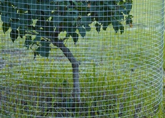 Maillage de fil soudé en acier inoxydable pour applications agricoles