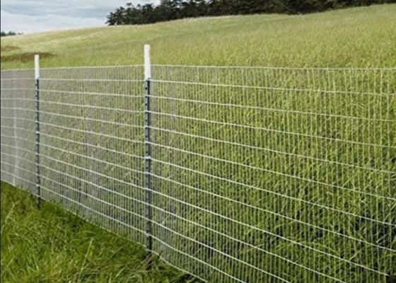 Maillage de fil soudé en acier inoxydable pour applications agricoles