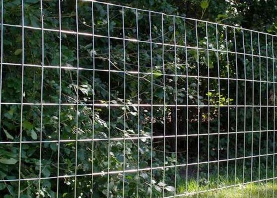 Maillage de fil soudé en acier inoxydable pour applications agricoles
