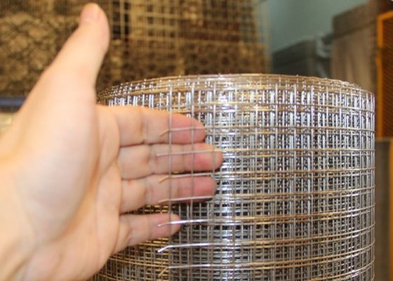 Maillage de fil galvanisé soudé avec peinture plastique protectrice