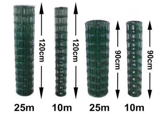 Maillage de fil soudé en PVC revêtu résistant à la corrosion, de 0,5 mm à 6,0 mm de diamètre