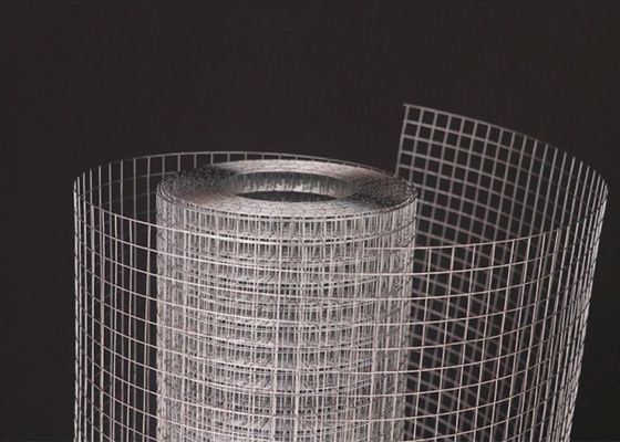 Rouleaux de treillis métalliques soudés électriquement en acier inoxydable de 80 cm