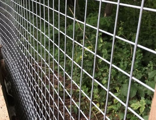 Rouleaux de mailles soudés galvanisés trempés à chaud durables pour cages d'animaux