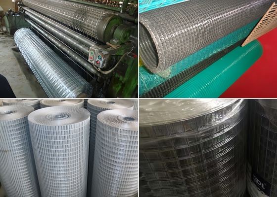 Rouleaux de mailles soudés galvanisés trempés à chaud durables pour cages d'animaux