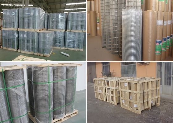 Rouleaux de mailles soudés galvanisés trempés à chaud durables pour cages d'animaux