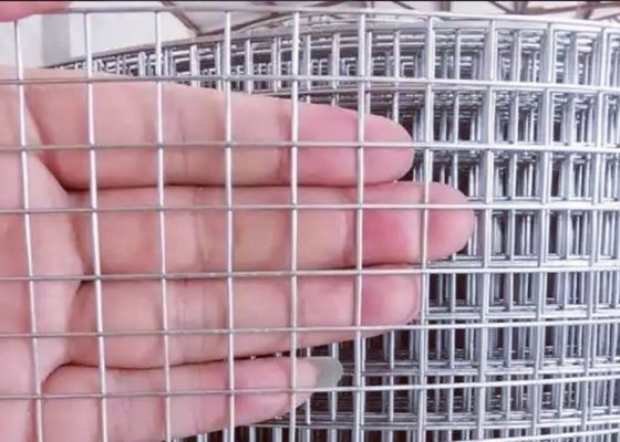 Rouleaux de treillis soudés à grande capacité de 1' x 1' avec fil de fer inoxydable