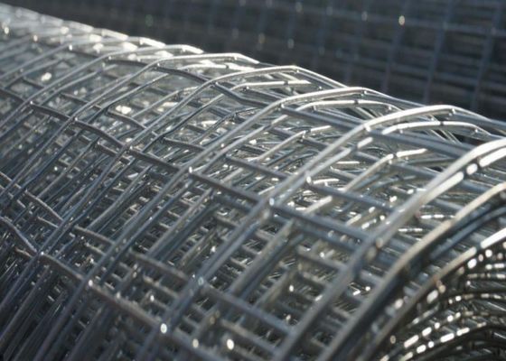 fil soudé galvanisé plongé chaud Mesh Animal Cage Wire Mesh de 1mm-3mm antirouille