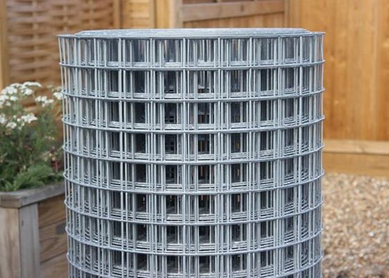 50X50 a galvanisé le fil soudé Mesh Rolls grillage Roll Abrasion Proof de 6 pieds