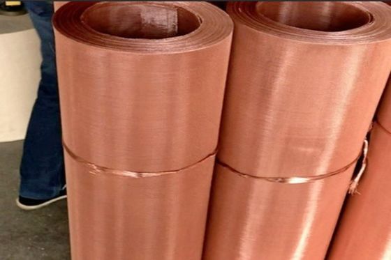 Fil de haute résistance et par dureté tissé Mesh Screen Phosphor Bronze
