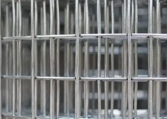 Rouleaux de treillis soudés à grande capacité de 1' x 1' avec fil de fer inoxydable