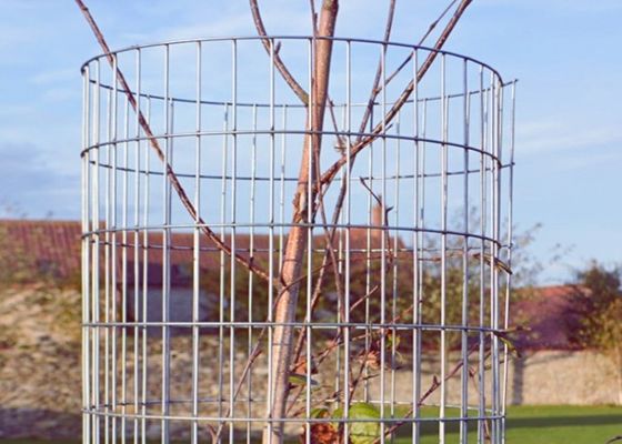 Técnique de soudage au point filet de fil soudé avec une largeur personnalisable et une surface électro galvanisée pour une protection durable